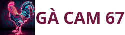 GaCam67